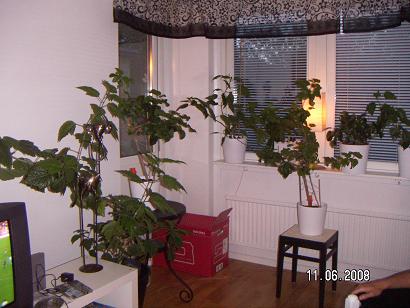 gallery_11607_2511_47634.jpg