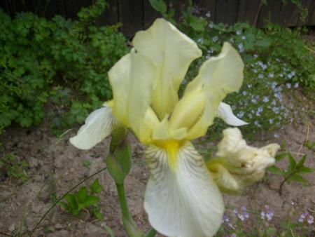 gallery_10191_1987_106184.jpg