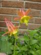 tn_gallery_10191_1987_32599.jpg