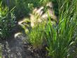 tn_gallery_9461_278_118876.jpg