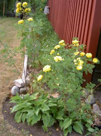 gallery_834_2476_24423.jpg