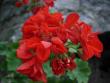 tn_gallery_9679_2483_7081.jpg