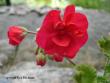 tn_gallery_9679_2483_7115.jpg