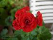 tn_gallery_9679_2489_19247.jpg