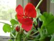 tn_gallery_9679_2498_25247.jpg