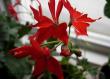 tn_gallery_9679_2502_6825.jpg