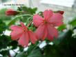tn_gallery_9679_2499_28484.jpg