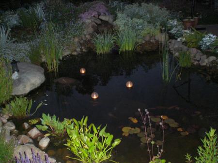 gallery_11521_2434_46122.jpg