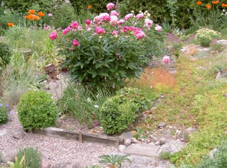 gallery_834_2340_112743.jpg