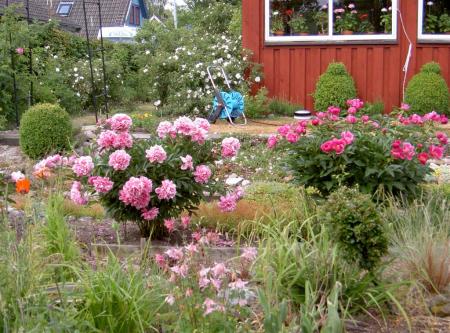 gallery_834_2340_161697.jpg