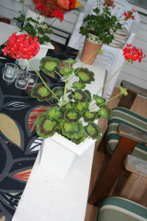 gallery_1454_2528_240467.jpg