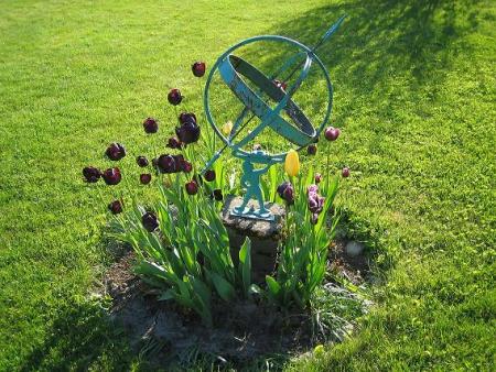 gallery_15433_2531_38835.jpg