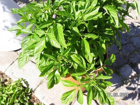 gallery_5587_1843_25603.jpg