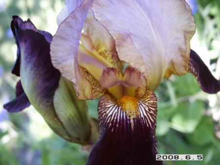 gallery_5956_2442_13203.jpg