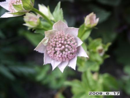 gallery_5956_2442_18701.jpg