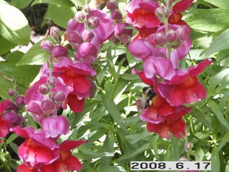gallery_5956_2442_24912.jpg