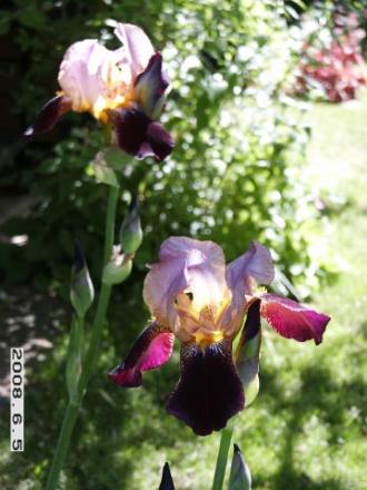 gallery_5956_2442_3901.jpg