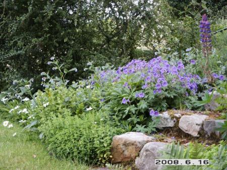 gallery_5956_2442_56083.jpg