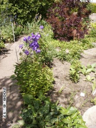 gallery_5956_2442_73050.jpg