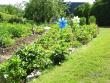tn_gallery_5587_1843_17685.jpg