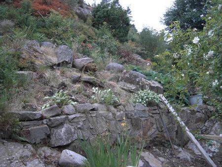gallery_12962_2534_7447.jpg