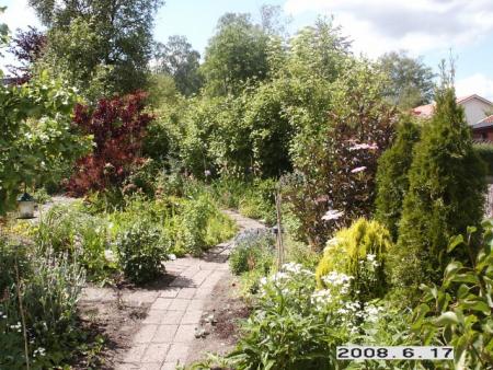 gallery_5956_2442_113001.jpg