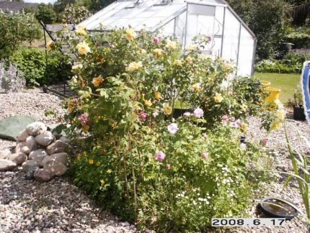 gallery_5956_2442_136446.jpg
