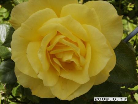 gallery_5956_2442_20251.jpg
