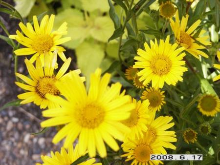 gallery_5956_2442_42290.jpg