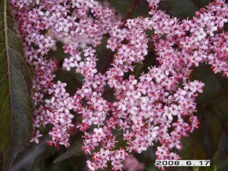 gallery_5956_2442_69158.jpg