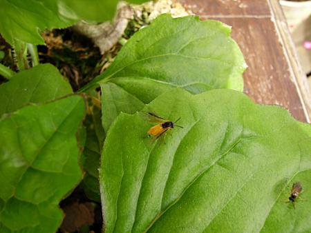 gallery_13447_1715_63442.jpg