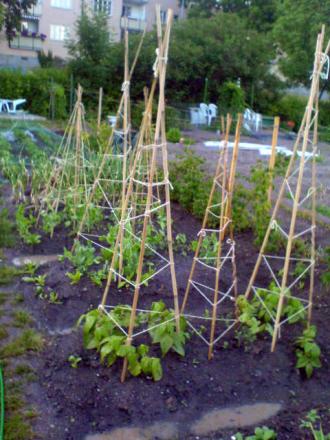 gallery_2895_2535_3767.jpg