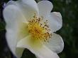 tn_gallery_13447_1715_25353.jpg