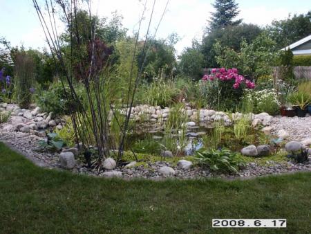 gallery_5956_1121_46061.jpg