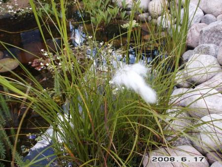 gallery_5956_1121_76226.jpg