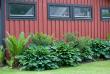 tn_gallery_4207_1963_49686.jpg