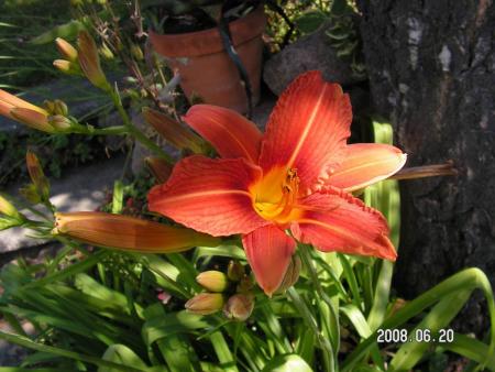 gallery_1786_950_32895.jpg