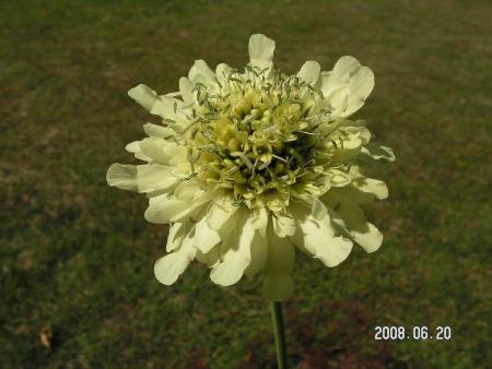 gallery_1786_950_75658.jpg