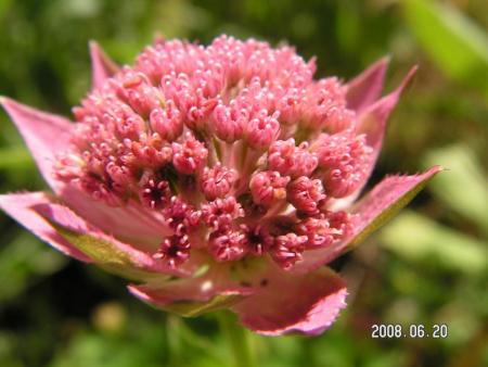 gallery_1786_950_85172.jpg