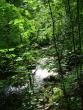 tn_gallery_365_273_117510.jpg