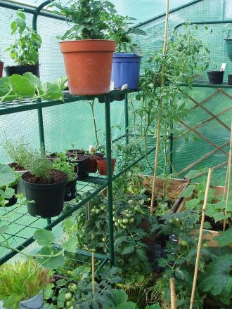 gallery_16188_2529_66875.jpg