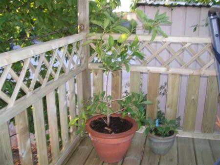 gallery_7440_2469_46766.jpg