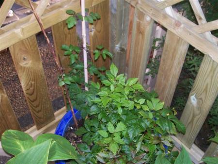 gallery_7440_2469_42135.jpg