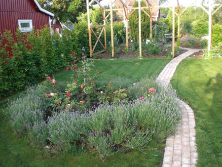 gallery_11521_2434_123100.jpg