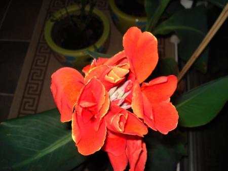 gallery_12285_1073_108029.jpg