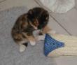 tn_gallery_5429_2458_2214.jpg