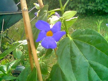 gallery_2460_1501_3655.jpg