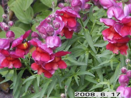 gallery_5956_1861_82102.jpg