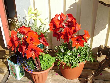 gallery_13447_1715_140169.jpg