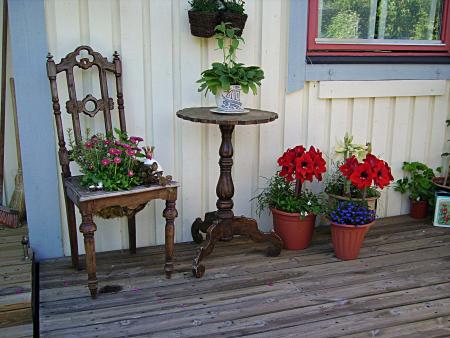 gallery_13447_1715_186334.jpg